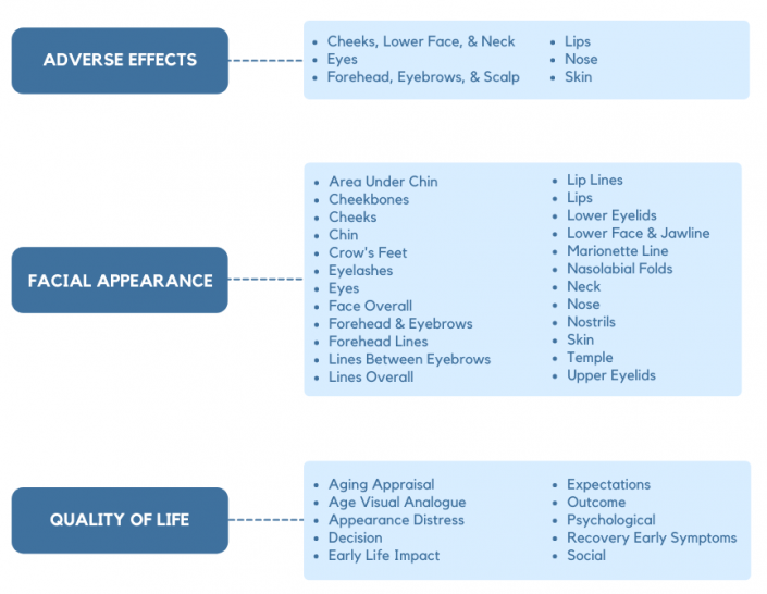 FACEQ Aesthetics QPortfolio ADAPTABLE TO YOUR NEEDS